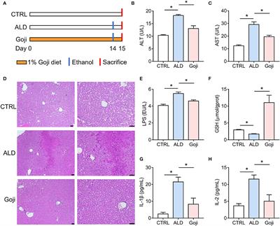 Dietary Goji Shapes the Gut Microbiota to Prevent the Liver Injury Induced by Acute Alcohol Intake